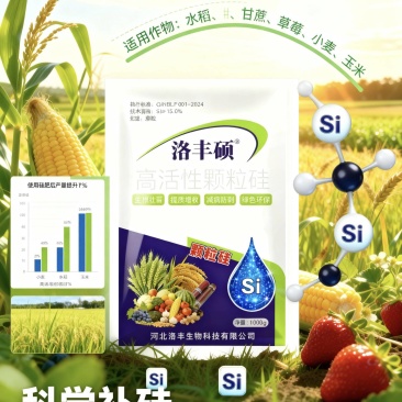 颗粒硅撒施底施全水溶含量高绿色无公害抗倒伏生根壮苗增产收