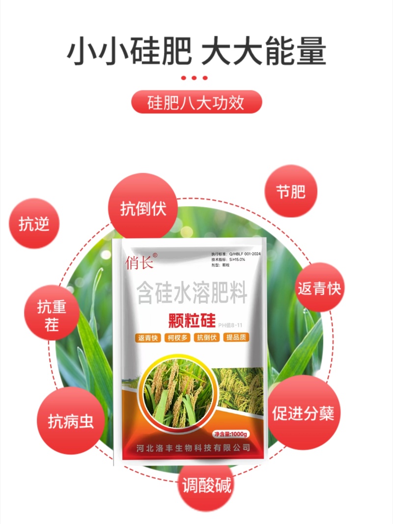 颗粒硅撒施底施全水溶含量高绿色无公害抗倒伏生根壮苗增产收