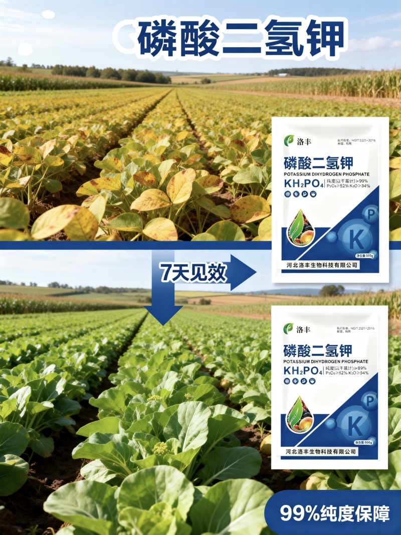 膨化磷二氢钾通用型磷钾肥蔬菜果树茶叶烟叶面喷施飞防速溶型