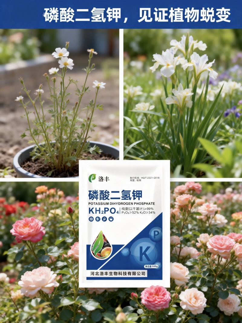 膨化磷二氢钾通用型磷钾肥蔬菜果树茶叶烟叶面喷施飞防速溶型