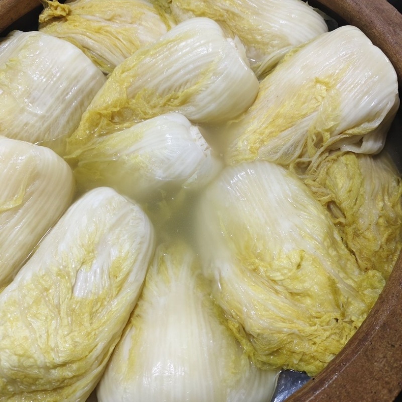 酸菜颗酸菜新鲜大白菜自然腌制水少菜多家庭商通用