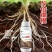 生根壮苗剂生根液生根粉移栽扦插灌根果树园林花卉蔬菜通用