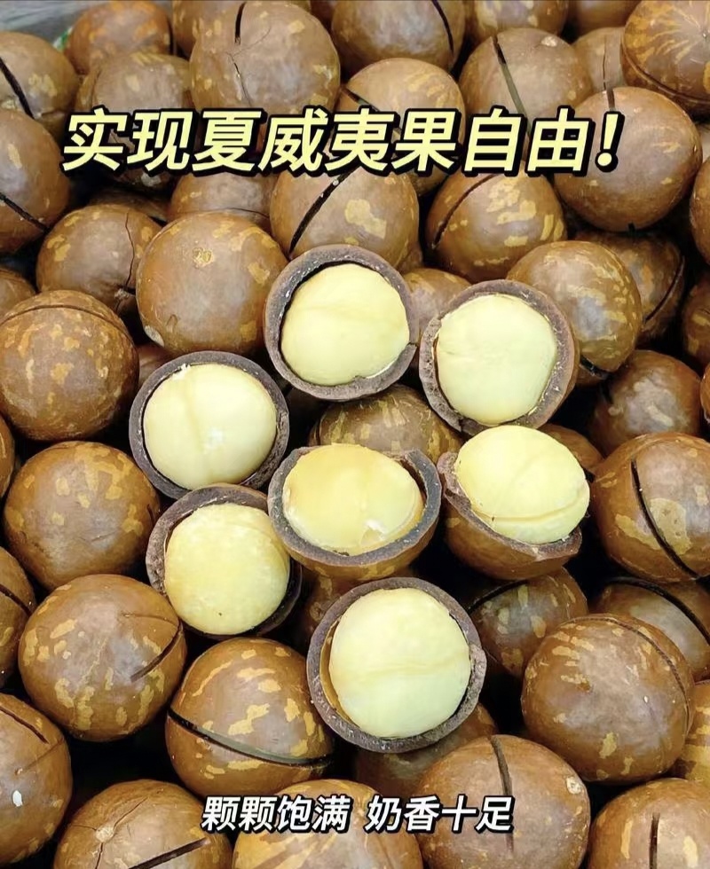 《夏威夷果》精选夏威夷果/果壳薄肉厚/电商一件/商超团购