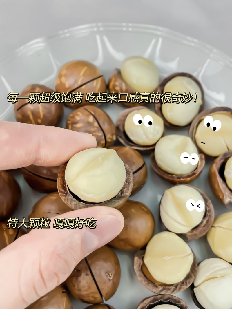 《夏威夷果》精选夏威夷果/果壳薄肉厚/电商一件/商超团购