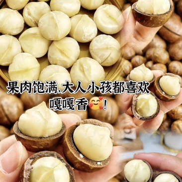 《夏威夷果》精选夏威夷果/果壳薄肉厚/电商一件/商超团购
