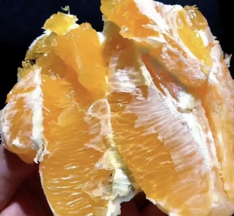 秭归纽荷尔脐橙大量有货现摘现发品质优可视频看货欢迎咨询来