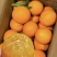 秭归纽荷尔脐橙大量有货现摘现发品质优可视频看货欢迎咨询来