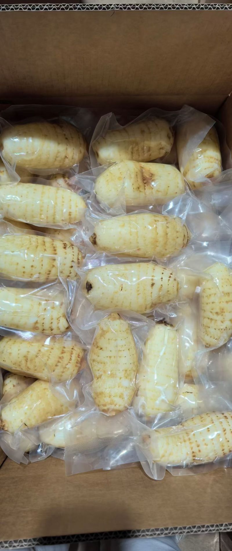 长沙天麻新鲜上市品质上乘滋补**