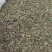 中药材草药蒲公英