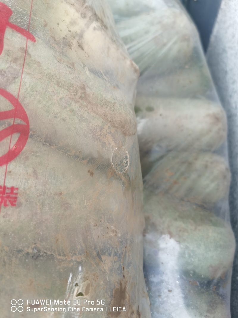 富硒萝卜*************同号