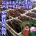 浅水藕食用藕种藕苗太空莲36号高产莲子池塘稻田盆养种植深