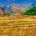 自家种植高山大米，产地直销，25年新米，先碾现发