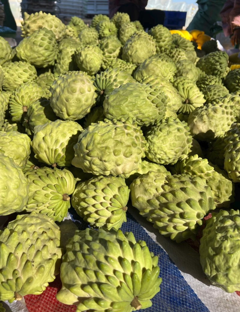 凤梨释迦果