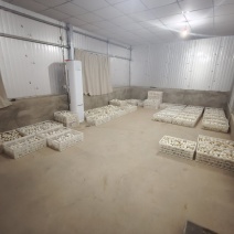 鹅蛋，量大从优