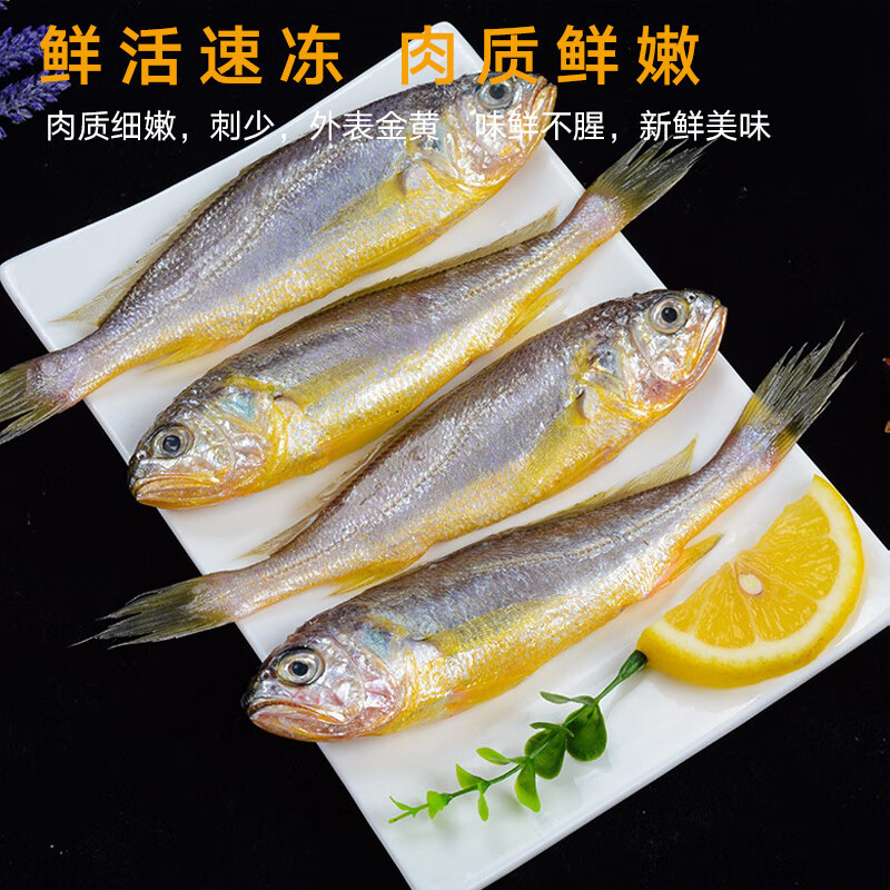 黄花鱼小黄鱼规格齐全基地直供品质保一件代发包邮