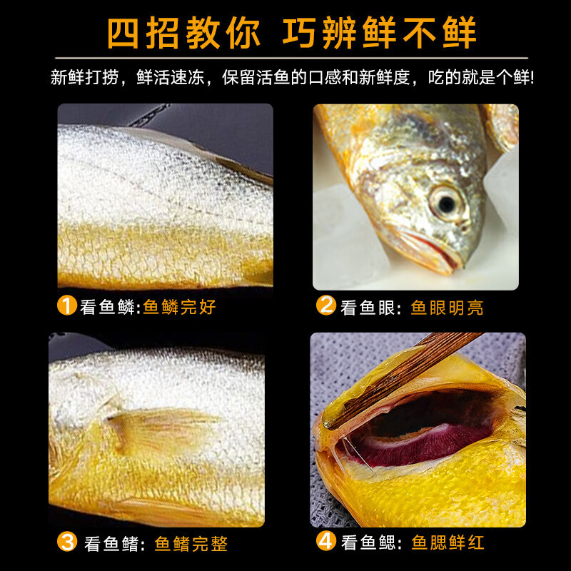 黄花鱼小黄鱼规格齐全基地直供品质保一件代发包邮