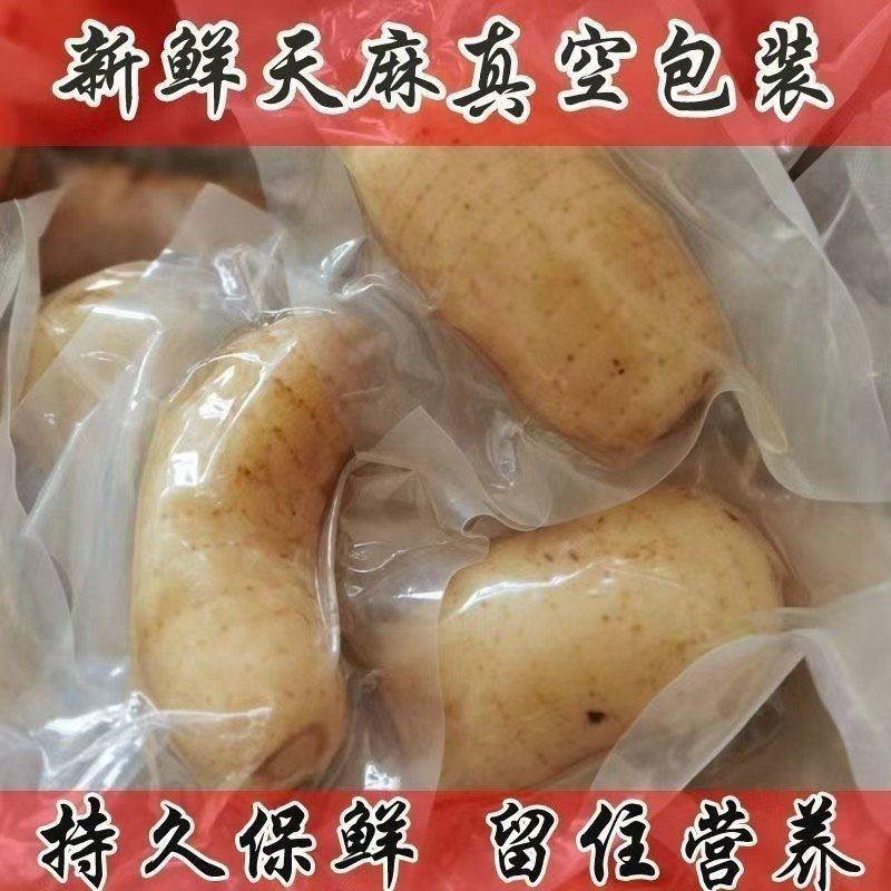 湖南长沙新鲜真空包装天麻