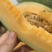 浙江哈密瓜晓蜜25哈密瓜，哈密瓜大量现货对接批发市场