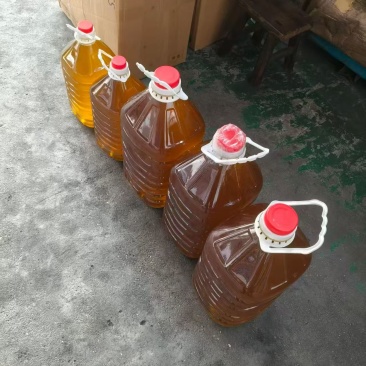 正宗山茶油