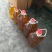 正宗山茶油