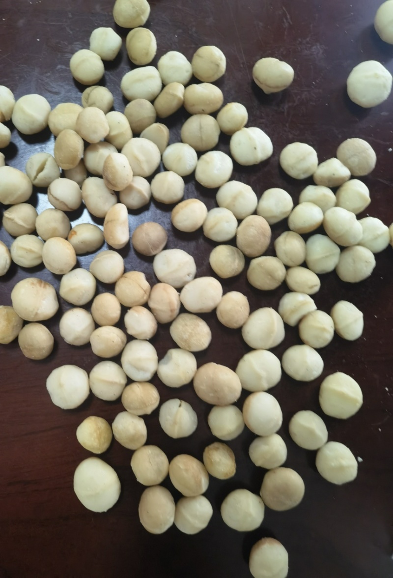 生料夏威夷果仁大量现货