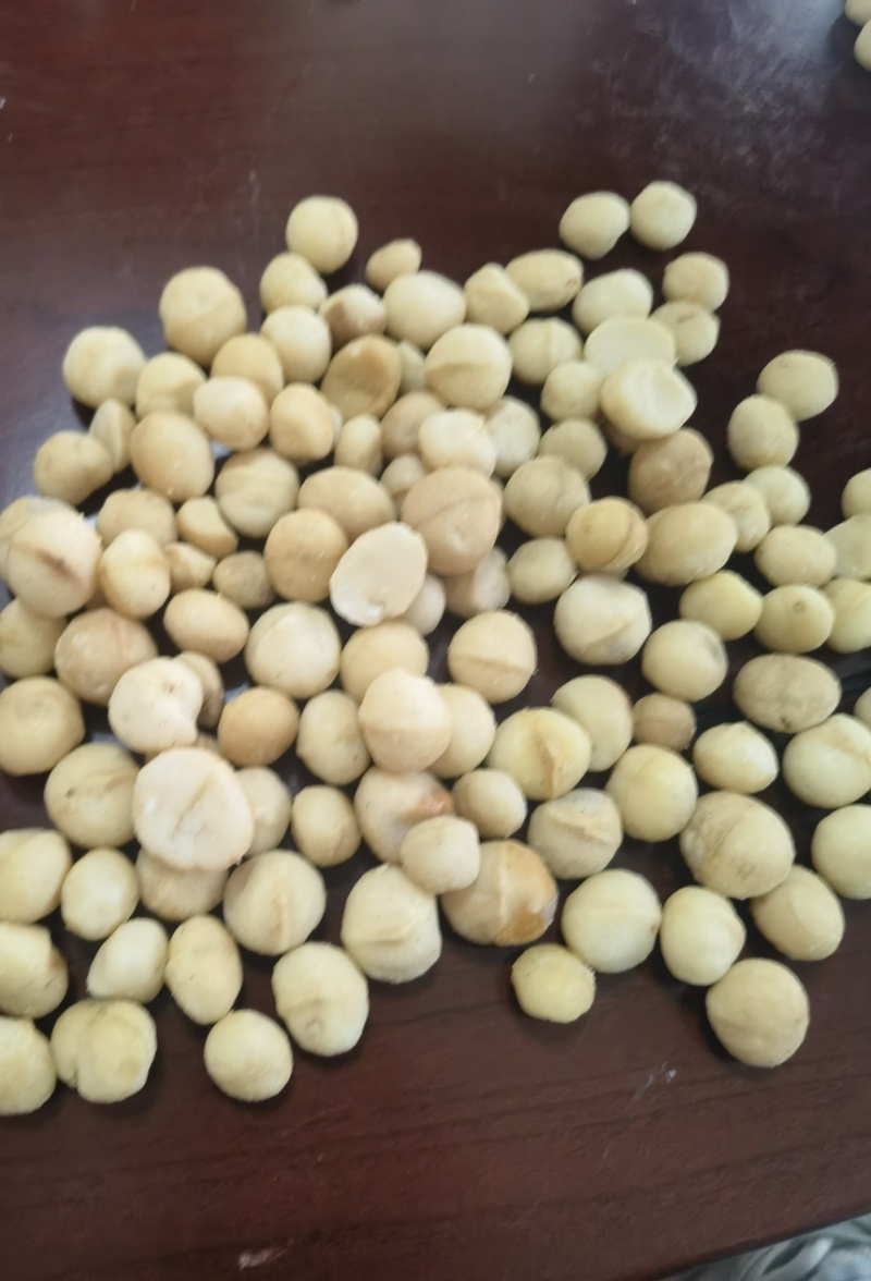 生料夏威夷果仁大量现货