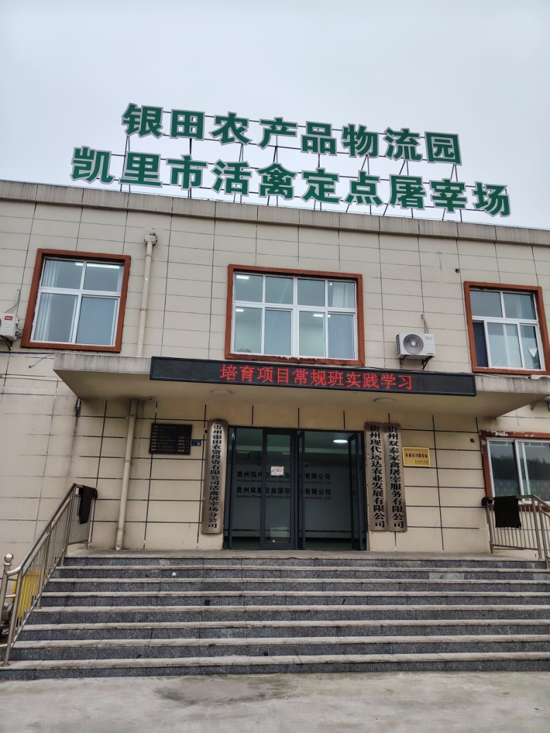 贵州冻品白条鸡，厂家直发，全国供应，诚信经营，可对接各大批发