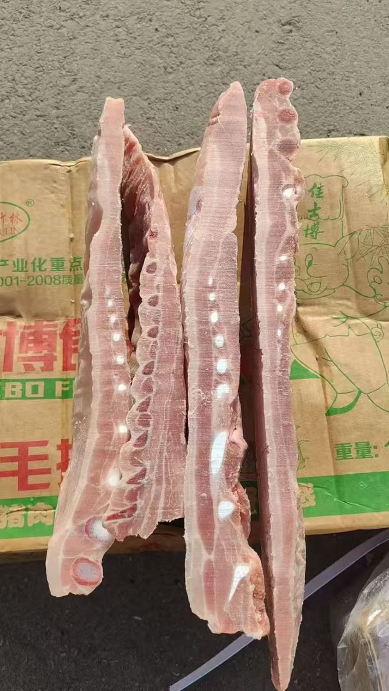 肥猪寸排