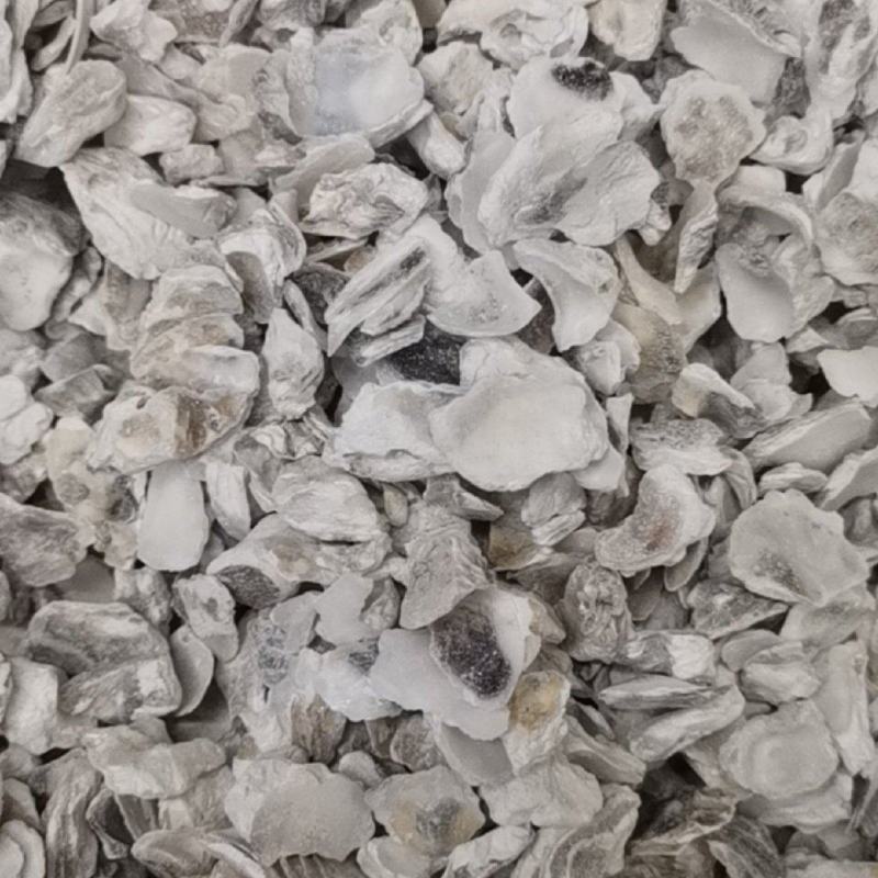 中药材牡蛎块