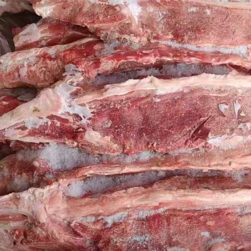 满肉羊蝎子
