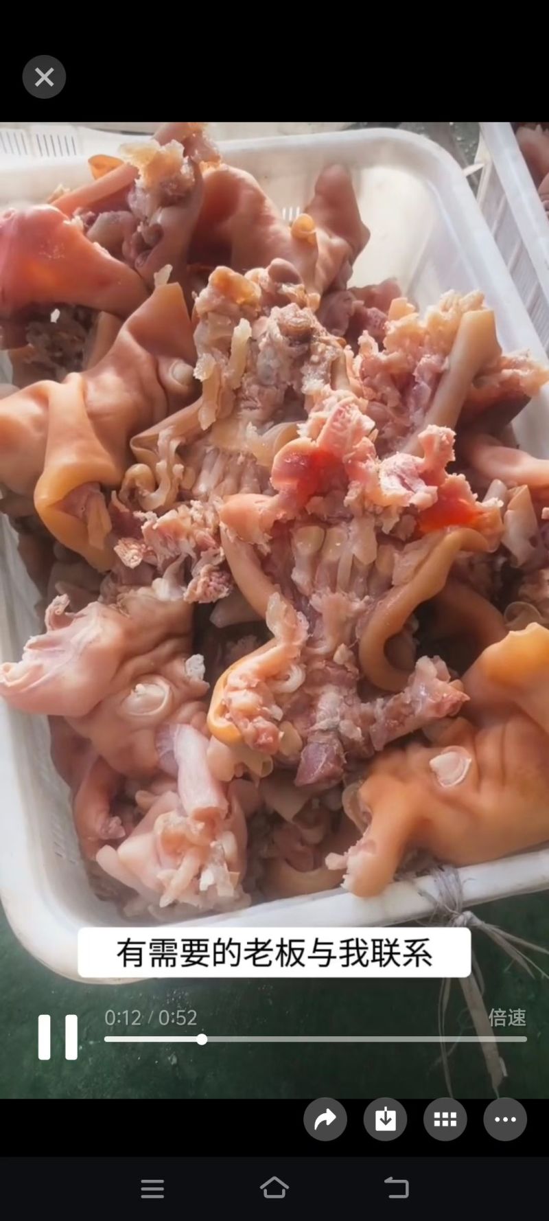 熟牛蹄筋，去骨牛蹄筋，质量有保证，诚信第一，去称少有独立