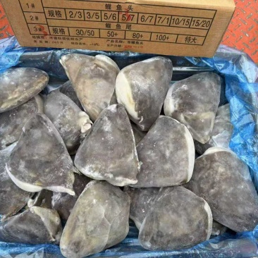 鲽鱼头