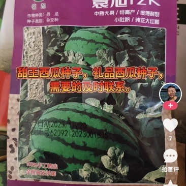 甜王西瓜种子