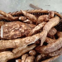 乡下正宗葛根粉数量100斤左右，40一斤包邮，质量保证