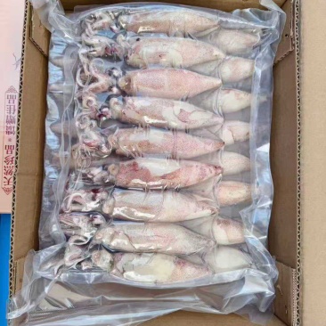 满籽籽乌