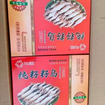 小籽乌