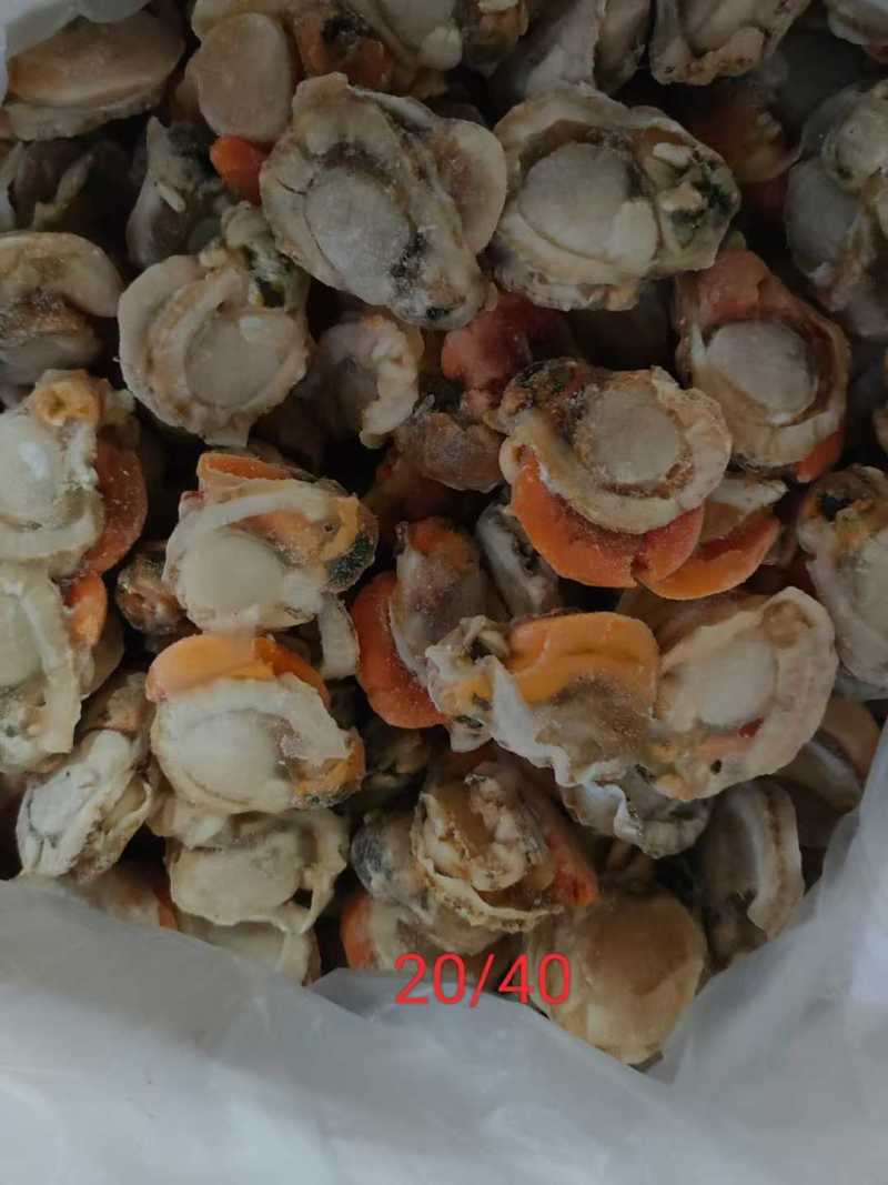 扇贝肉