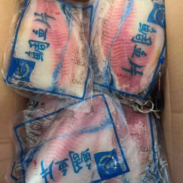 鲷鱼