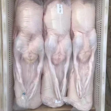 半净膛鸭，开箱实拍，价格低。**推荐