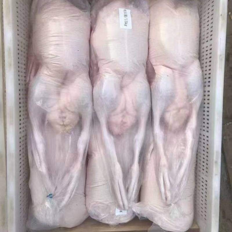 半净膛鸭，开箱实拍，价格低。**推荐