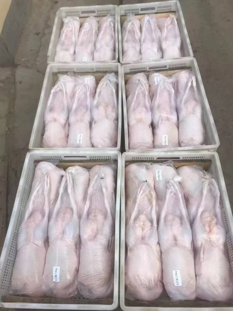 半净膛鸭，开箱实拍，价格低。**推荐