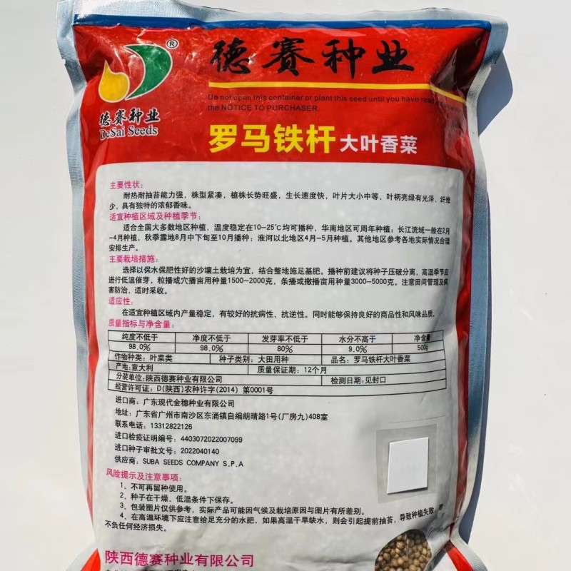 意大利进口罗马铁杆香菜种子夏秋耐高温高产大叶四季香菜种