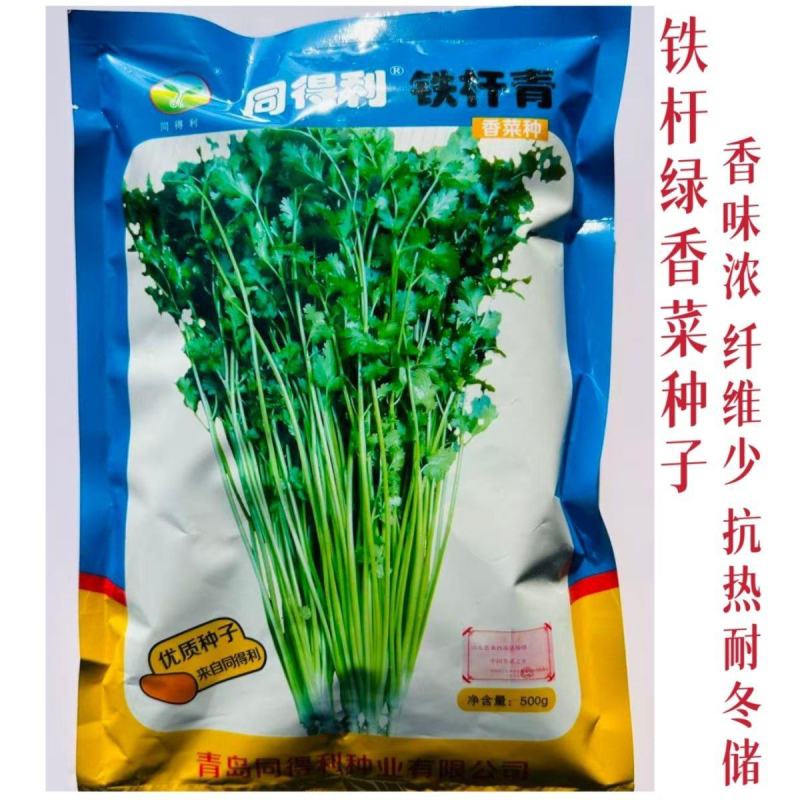 同得利铁杆青香菜种子大叶味浓芫荽种籽耐寒冬储梗长香菜