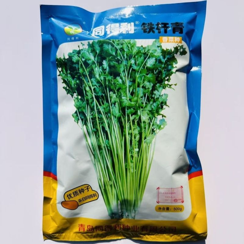 同得利铁杆青香菜种子大叶味浓芫荽种籽耐寒冬储梗长香菜