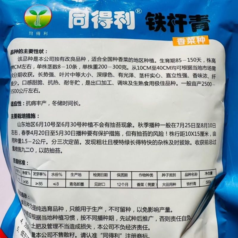 同得利铁杆青香菜种子大叶味浓芫荽种籽耐寒冬储梗长香菜