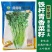 同得利铁杆青香菜种子大叶味浓芫荽种籽耐寒冬储梗长香菜
