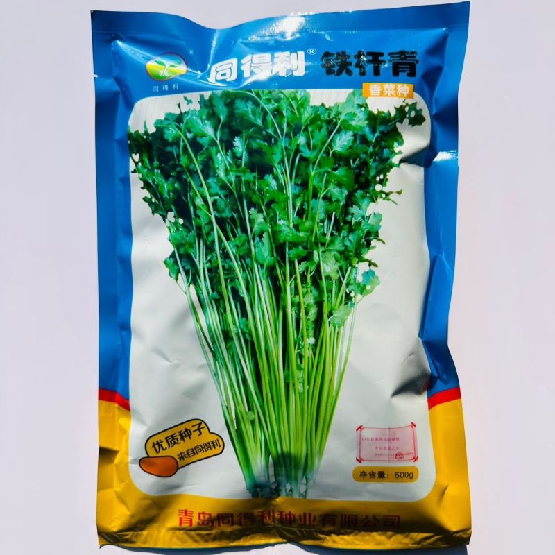 同得利铁杆青香菜种子大叶味浓芫荽种籽耐寒冬储梗长香菜