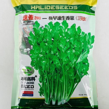 速强201速生香菜种籽孑三天出长势快四季香菜籽大田蔬菜