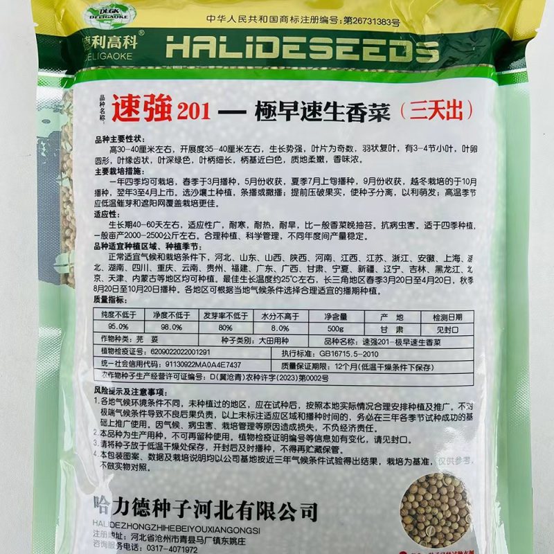 速强201速生香菜种籽孑三天出长势快四季香菜籽大田蔬菜
