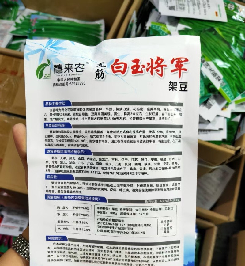 无筋白玉架豆种子早熟嫩荚白绿色蔓生春秋露地大棚均可种植